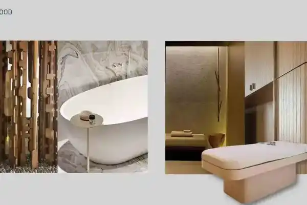 Bursa Uludağ Swissôtel SPA Konsept - Proje Görseli